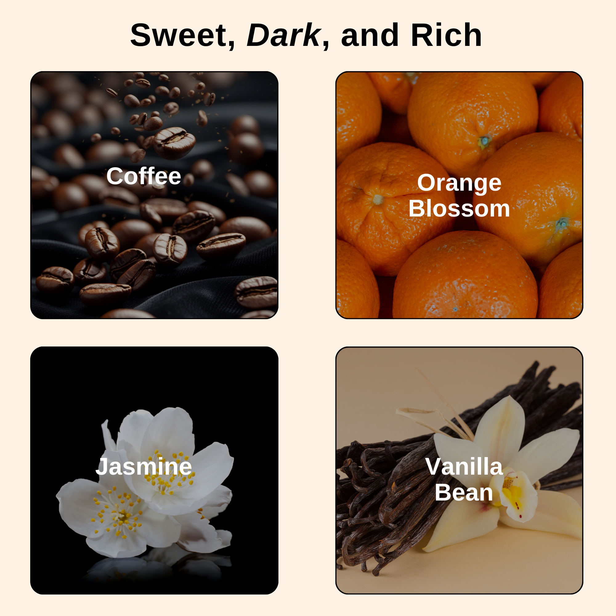 Vanilla Cafe (Romance) Luxury Elixir Body Oil