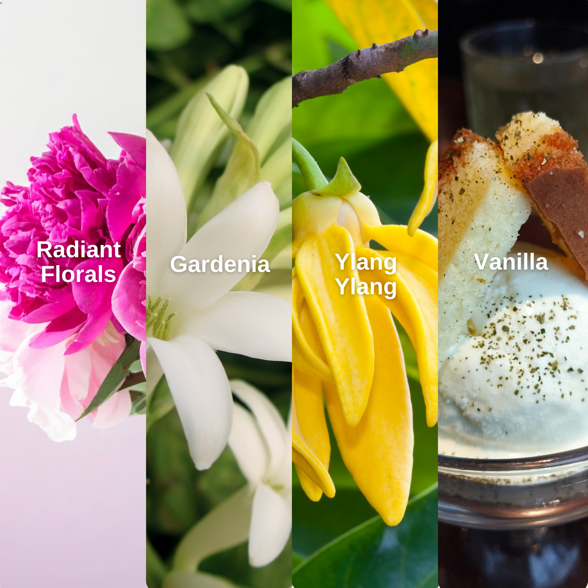 Gardenia Silk Perfume Fragrance Mist