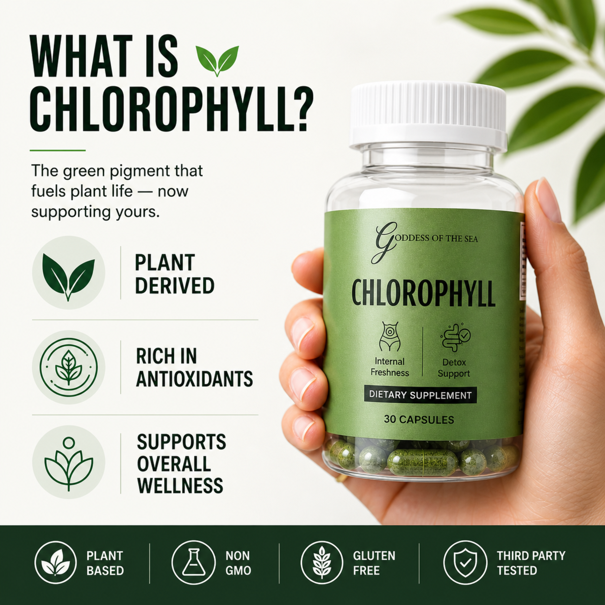 Chlorophyll Capsules