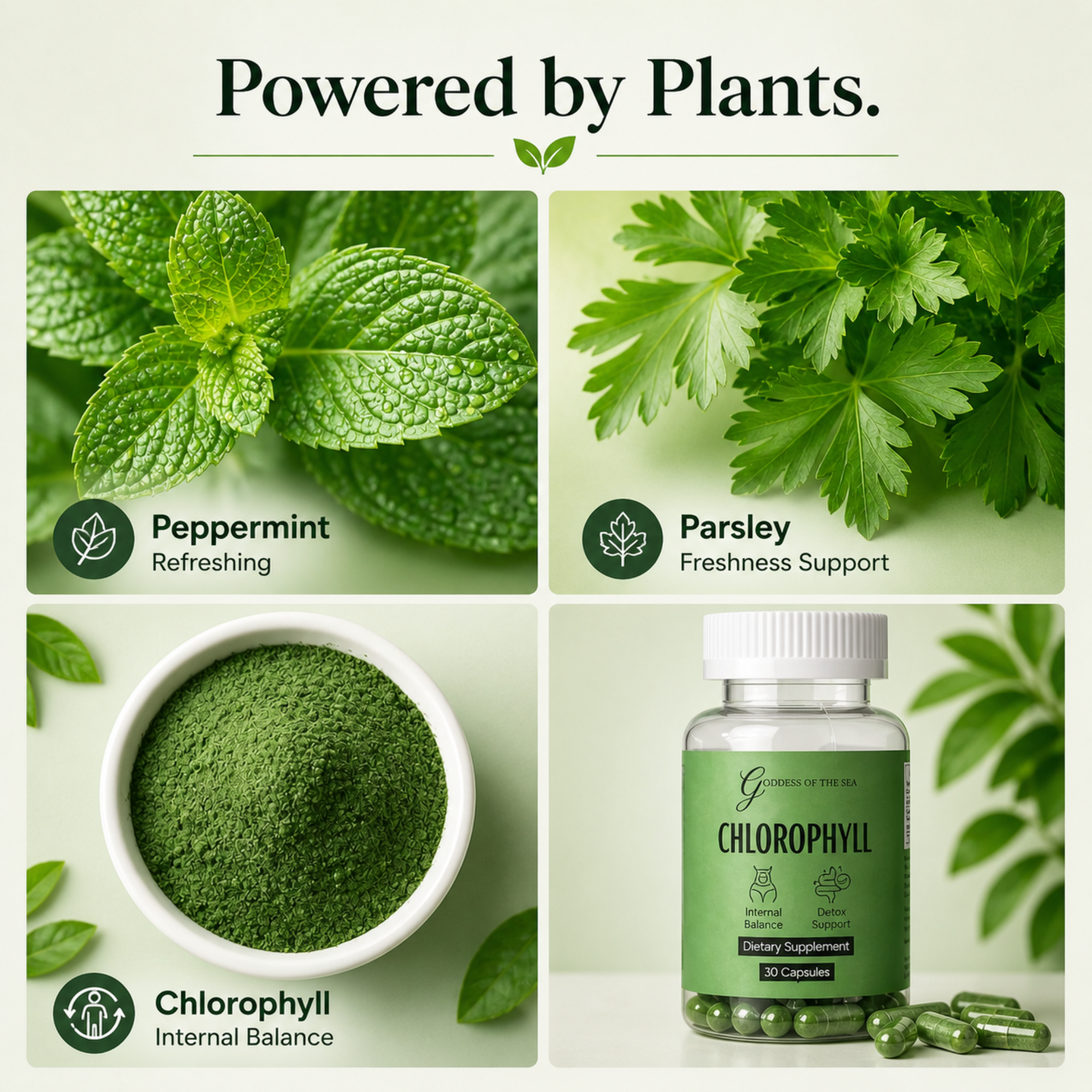 Chlorophyll Capsules