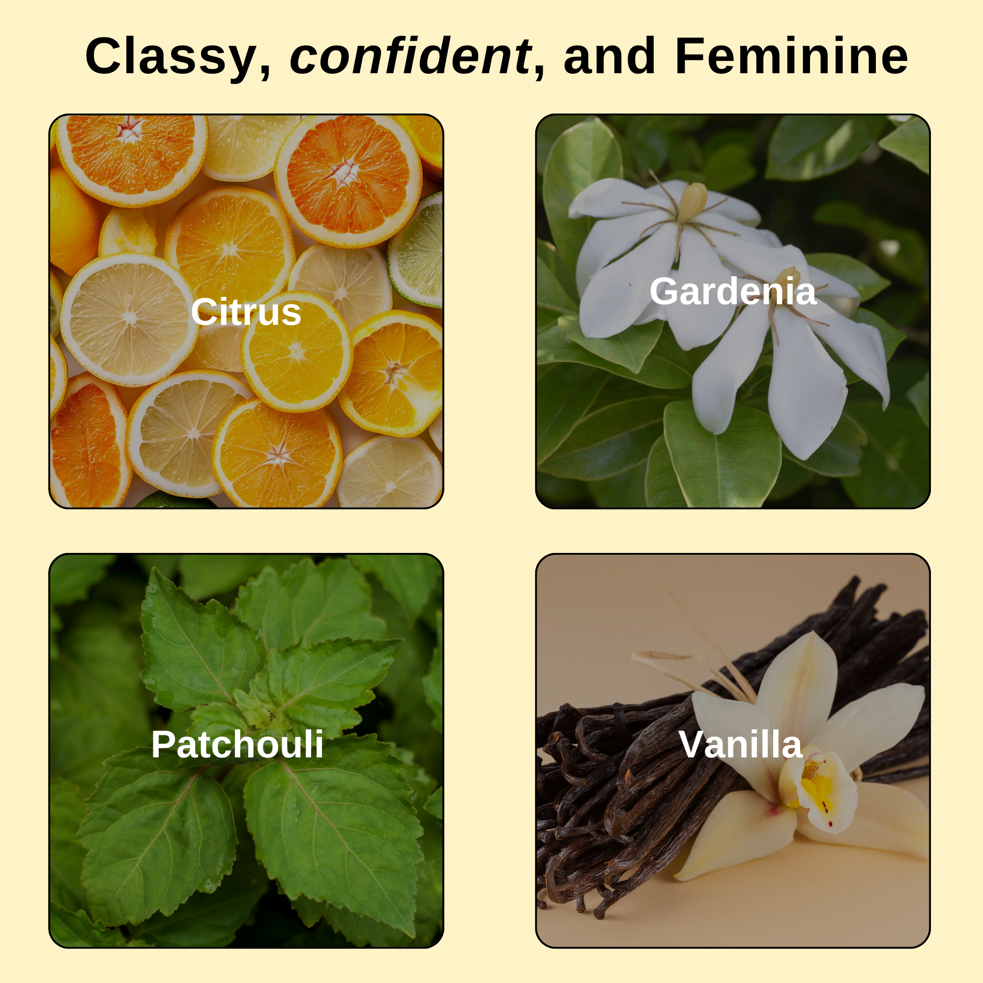 Citrus Bloom (Divine) Luxury Elixir Body Oil